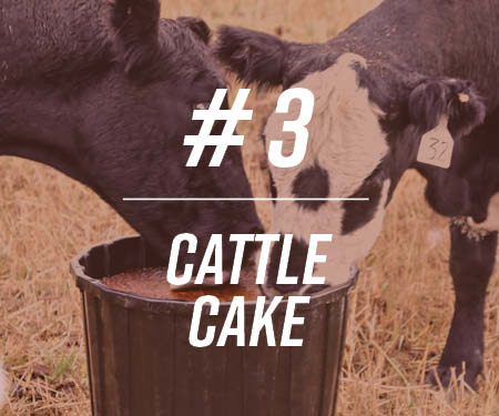 #3 Cattle Cake